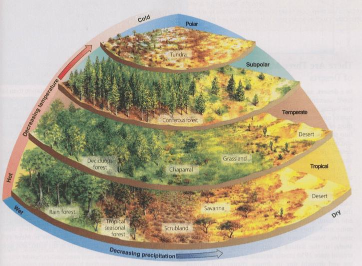 natural-worldbuilding-a-guide-on-how-to-build-a-fantasy-world